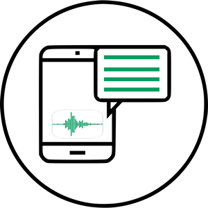 Voice SEO Services