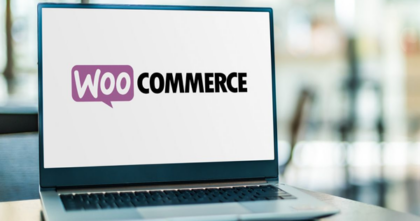 woocommerce seo